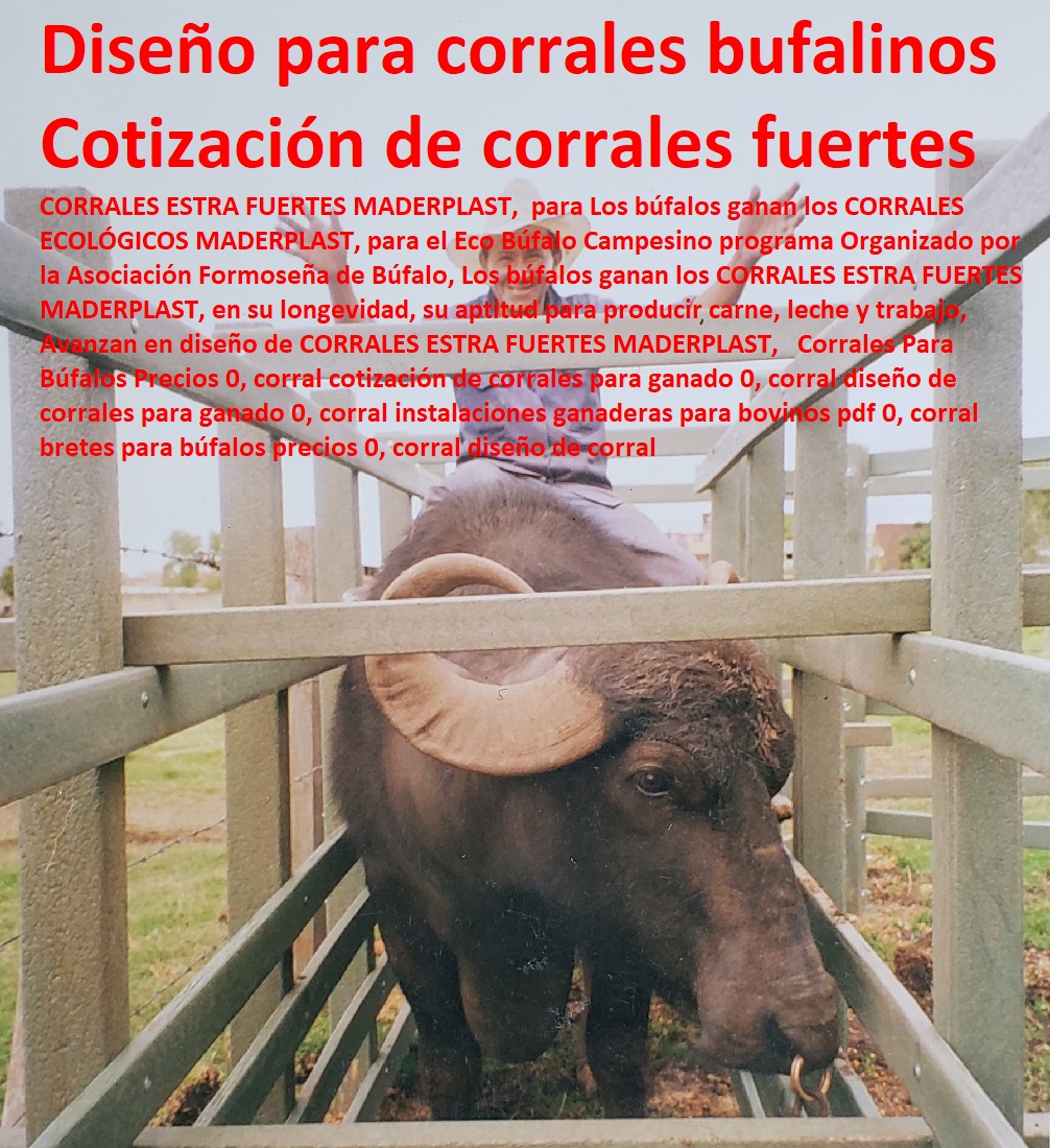 Corrales Para Búfalos Precios 0, corral cotización de corrales para ganado 0, Mangas De Coleo, Corral Caballerizas, Pesebreras De Caballos, Plaza Toros, Brete Ganadero, Apretaderos Embarcaderos, Postes Tablas, Polines Varetas, Horcones Madera Plástica, Corrales, Establos De Ganado, corral diseño de corrales para ganado 0, corral instalaciones ganaderas para bovinos pdf 0, corral bretes para búfalos precios 0, corral diseño de corral Corrales Para Búfalos Precios 0, corral cotización de corrales para ganado 0, corral diseño de corrales para ganado 0, corral instalaciones ganaderas para bovinos pdf 0, corral bretes para búfalos precios 0, corral diseño de corral